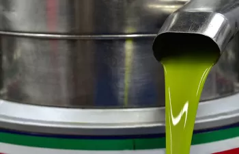 Luz verde a la reactivación de la planta de purines de Salzadella para tratar el alpechín del Maestrat