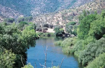 1.170 voluntarios evalúan 222 tramos fluviales de Andalucía dentro del programa 'Andarríos'