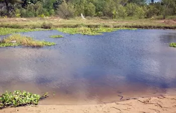 Nanosensores permiten determinar la contaminación por arsénico en el agua