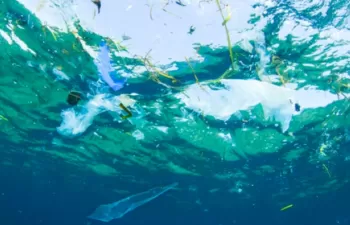 El proyecto europeo Life LEMA impulsa un encuentro para la búsqueda de soluciones a la basura marina