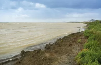 El MITECO insta a la Región de Murcia a activar las acciones de recuperación del Mar Menor
