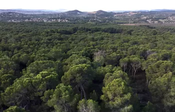 El IIAMA participa en un proyecto para reducir el riesgo de incendio en el Parc Natural del Túria
