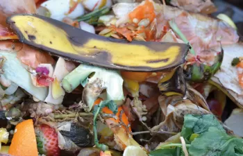 La Diputación Foral de Álava impulsa el compostaje y la implantación del quinto contenedor