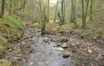 El Observatorio Pirenaico desarrollará los próximos tres años un plan de adaptación al cambio climático