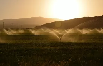 Las políticas europeas no garantizan el uso sostenible del agua en la agricultura