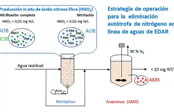 Una tesis de la USC demuestra la viabilidad de la eliminación autótrofa de nitrógeno basada en el proceso anammox en aguas residuales urbanas