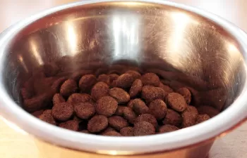 El MAPAMA impulsa un modelo circular entre el mercado de alimentación animal y la industria agroalimentaria