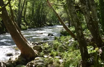 Aprobados 18,2 millones de euros para varias operaciones de conservación de la zona regable del río Alagón