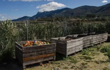 La Comunidad Valenciana obtiene más de un millón de euros para financiar la recogida de materia orgánica