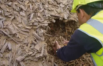Varios estudios de la UVa confirman que la biomasa agroforestal es más barata que los combustibles fósiles