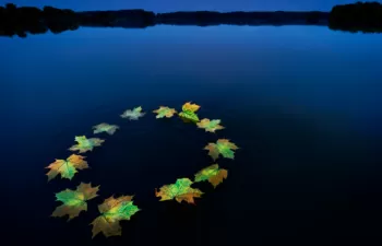 La UE presenta el \'Plan de Acción para el Planeta\': 10 iniciativas para transformar la economía de Europa