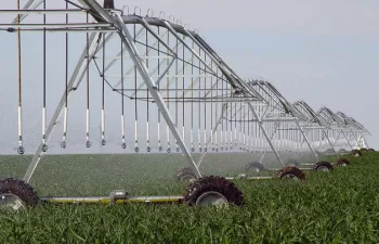 La Junta de Andalucía avanza en la implantación del Plan Especial de Ordenación de Regadíos de Doñana