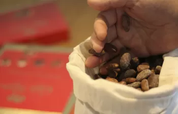 Nestlé producirá energía con subproductos del cacao en su fábrica de La Penilla de Cayón