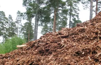 La Diputación de Granada apuesta por impulsar la biomasa para usos térmicos en la provincia