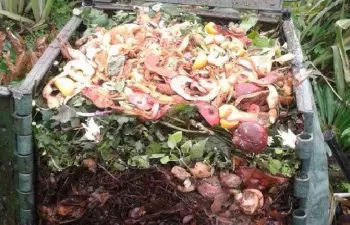 Ya son más de 5.000 los compostadores repartidos con el programa de compostaje doméstico de Sogama