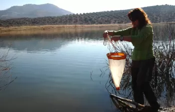 La Universidad de Jaén elaboran un plan de acción para proteger nueve humedales del Alto Guadalquivir