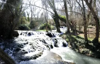 Zaragoza se equipara al resto de Aragón en el pago del Impuesto sobre la Contaminación de las Aguas