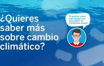 Fundación Aquae estrena Aqu@bot, aplicación de inteligencia artificial especializada en cambio climático