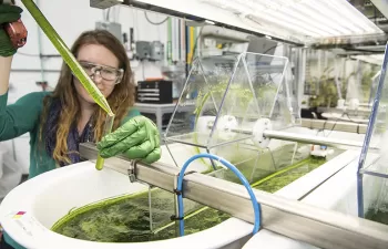 Europa destinará más de 100 millones de euros en nuevos proyectos del Programa LIFE