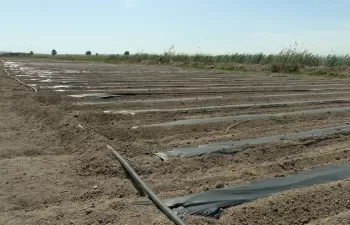 Nuevas ayudas por valor de 6 millones para la modernización de regadíos en la Comunidad Valenciana