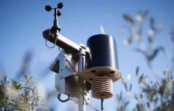 Máximo rendimiento en la producción de cítricos mediante la optimización del sistema de riego