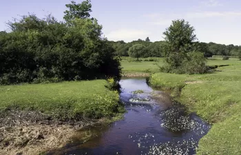 "Es necesario cuantificar la transpiración de los recursos subterráneos en la modelación hidrológica"