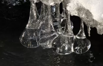 El Colegio Oficial de Químicos de Asturias Y León lanza el Concurso de Fotografía \"Mucho más que Agua\"