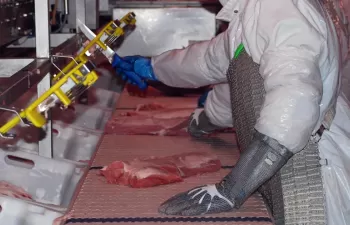 El sector cárnico español prevé invertir más de 3.500 millones de euros en sostenibilidad