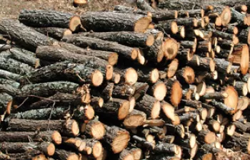 Cataluña aprueba un Plan de 15 millones de euros para instalar calderas de biomasa forestal en edificios públicos