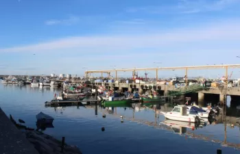 Ferrovial Serviços consigue el servicio de limpieza y gestión de residuos del puerto pesquero de Matosinhos