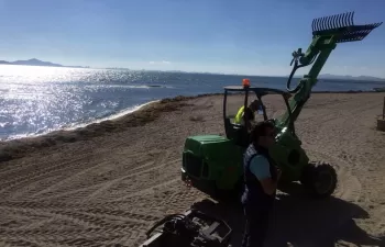 Retiradas 743 metros cúbicos de algas de las playas del Mar Menor