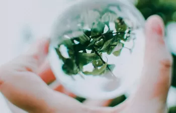 ¿Cómo va a lograr Europa una economía circular para 2050?