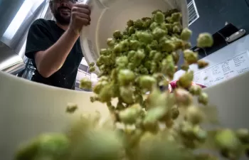 Las plantas de residuos de la Comunitat Valenciana se apuntan a las energías renovables