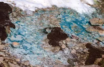 Estudian técnicas más económicas y eficientes para evaluar y tratar suelos contaminados