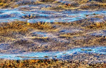 La Comisión Europea prepara un plan de acción ante los alteradores endocrinos