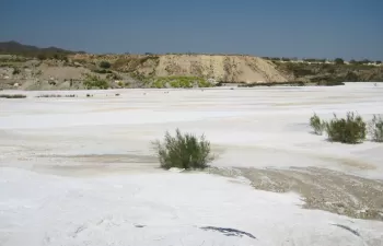 Logran regenerar suelos contaminados y recuperar su vegetación con lodos de mármol
