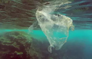 Biotecnologías para recuperar residuos plásticos de forma más ecológica