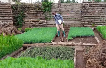 Incatema renueva su colaboración con Agrónomos sin Fronteras para apoyar la mejora de la agricultura en Tanzania