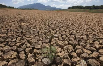 CEPAL presenta nuevos estudios sobre efectos y medidas contra el cambio climático en América Latina
