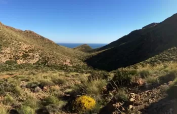 Un Atlas Mundial de la Desertificación