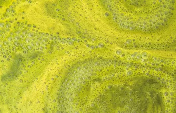 Una biorrefinería convertirá biomasas renovables en intermediarios químicos verdes en Brasil