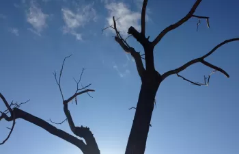 La ACA y el Campus Aigua UdG difunden la realidad del cambio climático y su impacto sobre el agua