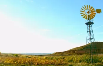 La Inteligencia Artificial al servicio del uso sostenible del agua en la agricultura