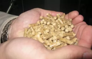 Nuevas subvenciones en Aragón para fomentar el uso de energías renovables en el ámbito doméstico