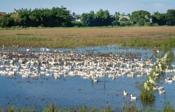 Aguas de Huelva: innovación para la gestión del agua y biodiversidad