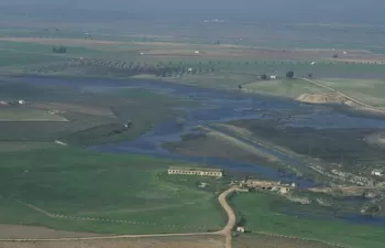 La Confederación Hidrográfica del Guadiana lanza una app de participación ciudadana contra especies invasoras