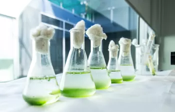 Nuevo modelo para estimar las concentraciones naturales de nutrientes de las aguas costeras