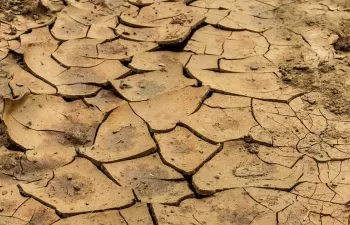Ecologistas en Acción: la mala gestión de la sequía sitúa al borde del colapso a los humedales