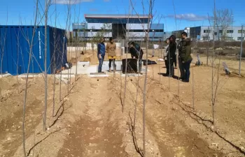 IMDEA Agua pone en marcha un nuevo piloto de filtro verde