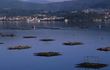 Xunta trabaja en un documento base para diseñar la primera Estrategia ambiental de Galicia